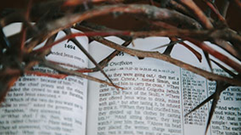 Test Blogs 3 Post 5