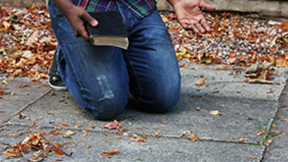 Test Blogs 3 Post 7