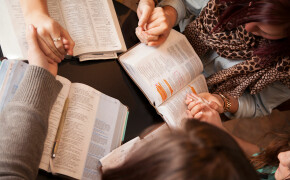 Small Group Leader